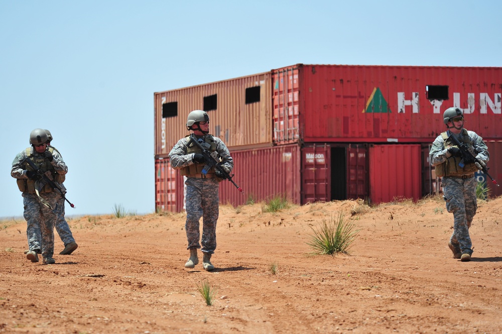 2011 capabilities exercise