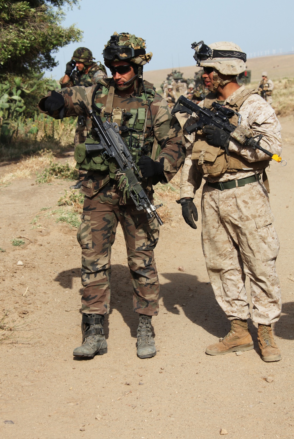 Spanish Amphibious Bilateral Exercise