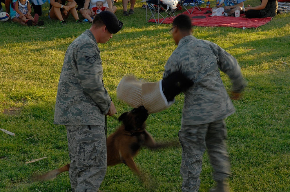 Freedom Festival 2011