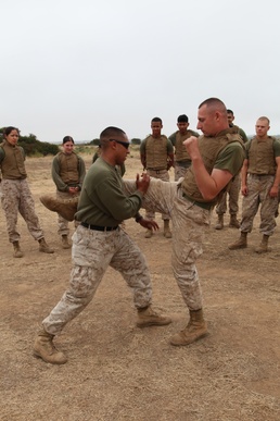 Full metal jacket: FASP sets to field to supply ammunition