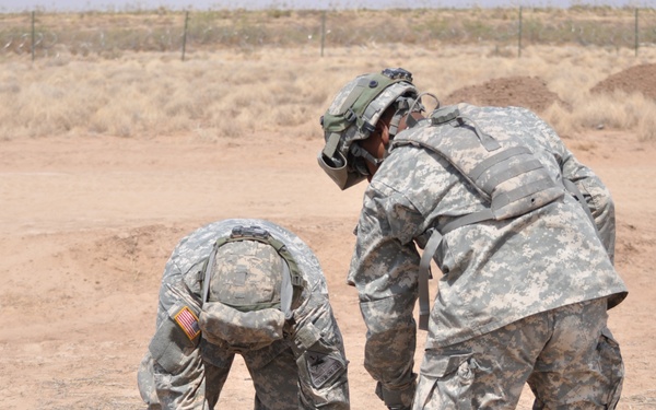 Network Integration Evaluation