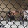Fight Club 29 wins big at nationals