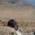 3/7 and 2/5 Marines complete scout sniper team leaders course