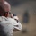 3/7 and 2/5 Marines complete scout sniper team leaders course