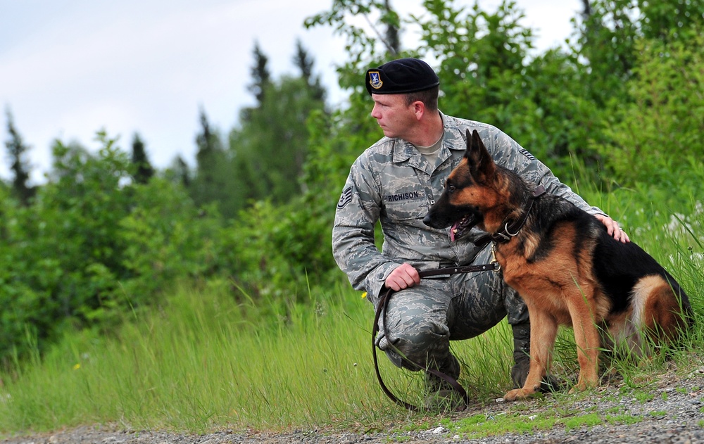 Airmen and military working dogs of 673d Security Forces Squadron train jointly with TSA officers and dogs