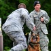 Airmen and military working dogs of 673d Security Forces Squadron train jointly with TSA officers and dogs