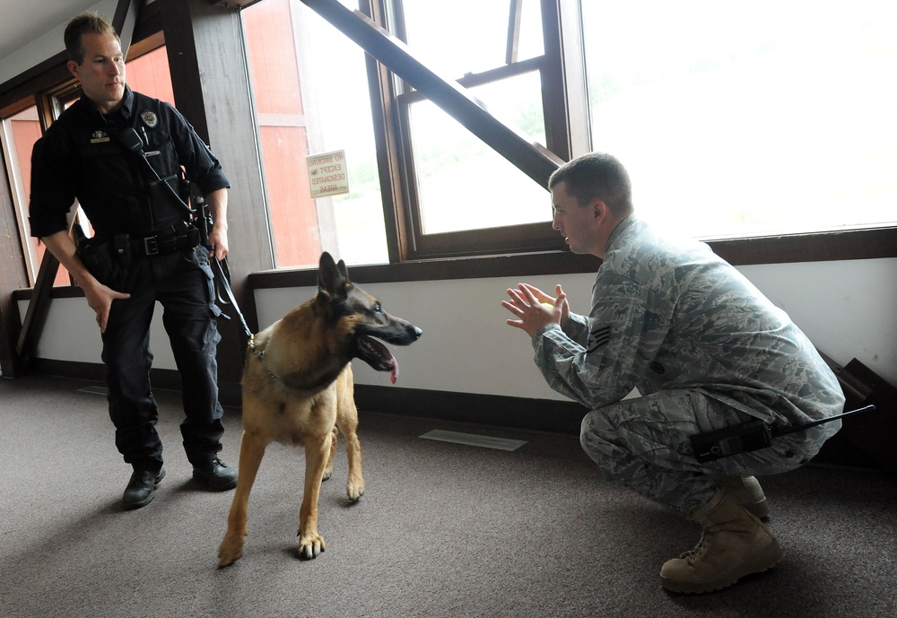 Airmen and military working dogs of 673d Security Forces Squadron train jointly with TSA officers and dogs