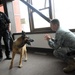 Airmen and military working dogs of 673d Security Forces Squadron train jointly with TSA officers and dogs