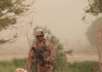 Guardian of patrols: Afghan dog fights like Marine