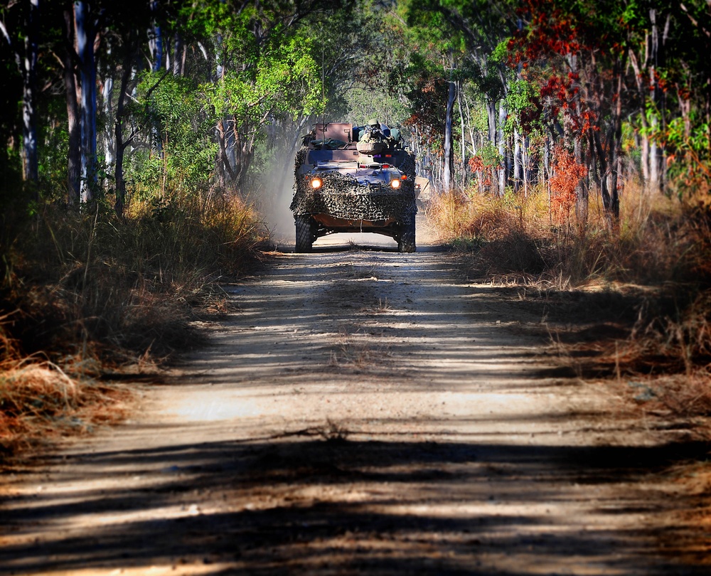 Exercise Predator's Strike 2011