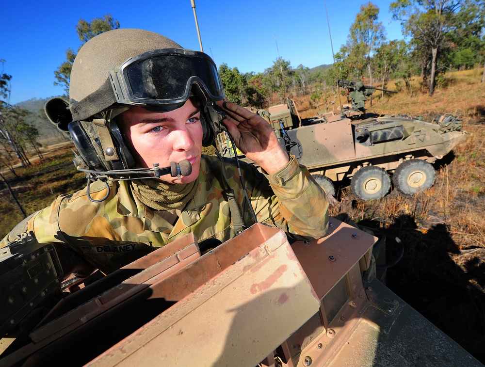 Exercise Predator's Strike 2011