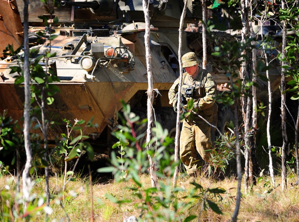 Exercise Predator's Strike 2011