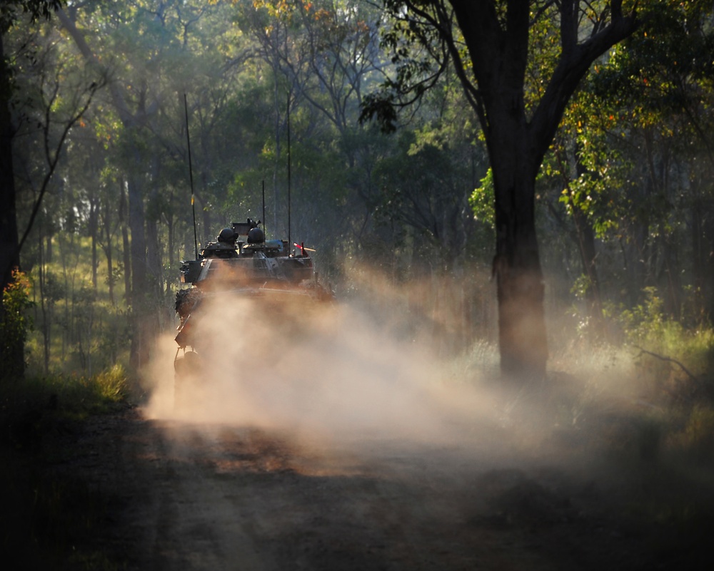 Exercise Predator's Strike 2011