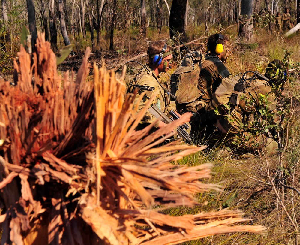 Exercise Predator's Strike 2011