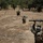 The image shows multiple armed soldiers in a dry, open terrain with sparse tree cover. At least three individuals are visible, with the foreground soldier holding a rocket-propelled grenade launcher (RPG) raised overhead. The setting appears to be an arid or semi-arid environment during daylight hours.