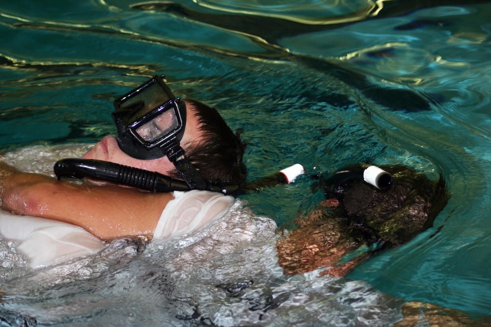 Swimmer School activity