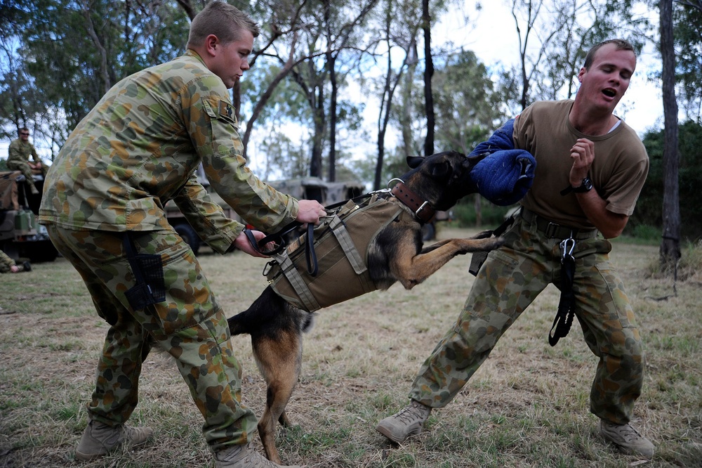 Australian Defence Force military dog handlers prepare for Talisman Sabre 2011