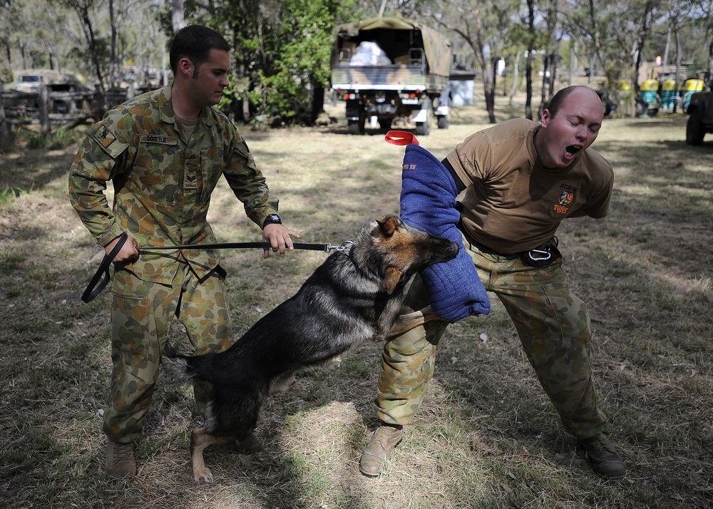 Australian Defence Force military dog handlers prepare for Talisman Sabre 2011