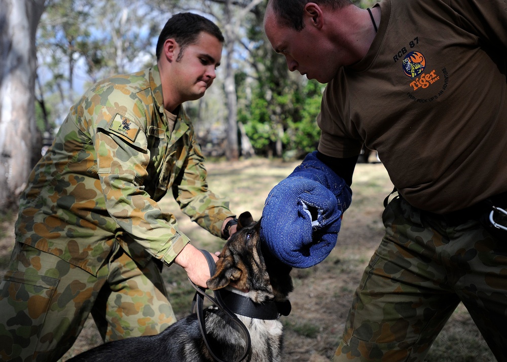 Australian Defence Force military dog handlers prepare for Talisman Sabre 2011