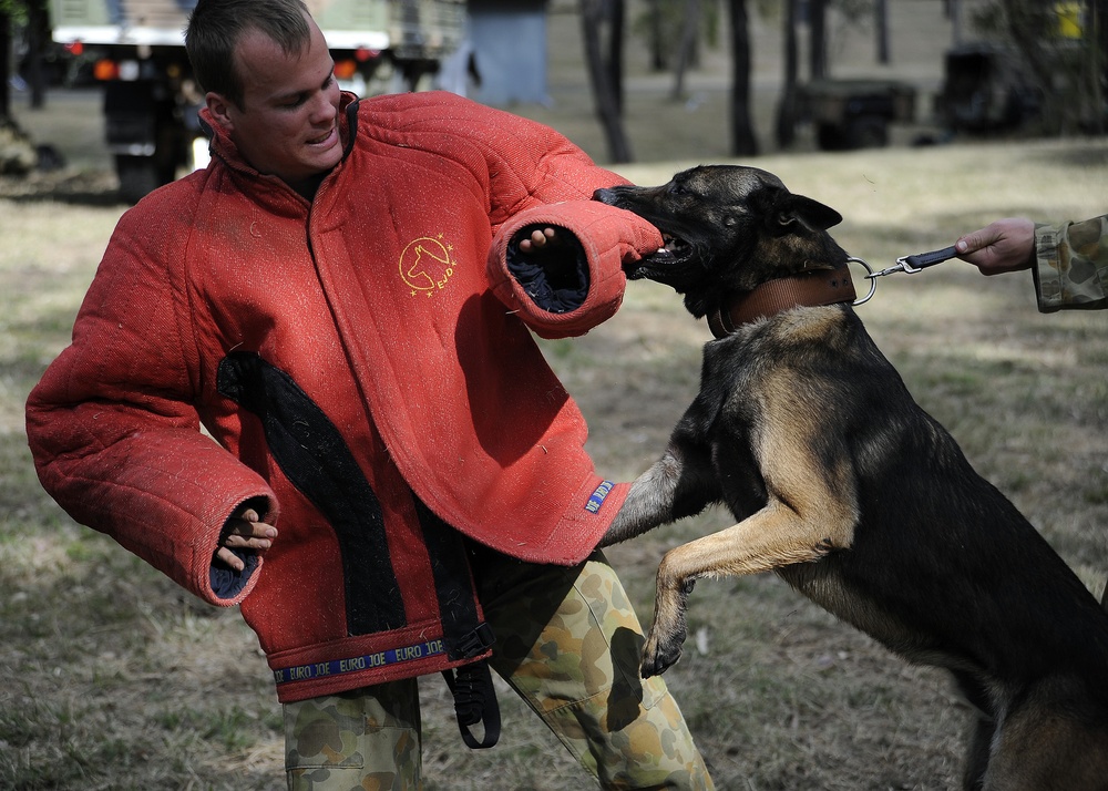 Australian Defence Force military dog handlers prepare for Talisman Sabre 2011