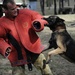 Australian Defence Force military dog handlers prepare for Talisman Sabre 2011