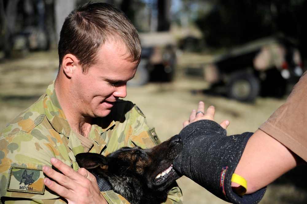 Australian Defence Force military dog handlers prepare for Talisman Sabre 2011