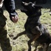 Australian Defence Force military dog handlers prepare for Talisman Sabre 2011