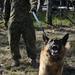 Australian Defence Force military dog handlers prepare for Talisman Sabre 2011