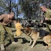 Australian Defence Force military dog handlers prepare for Talisman Sabre 2011