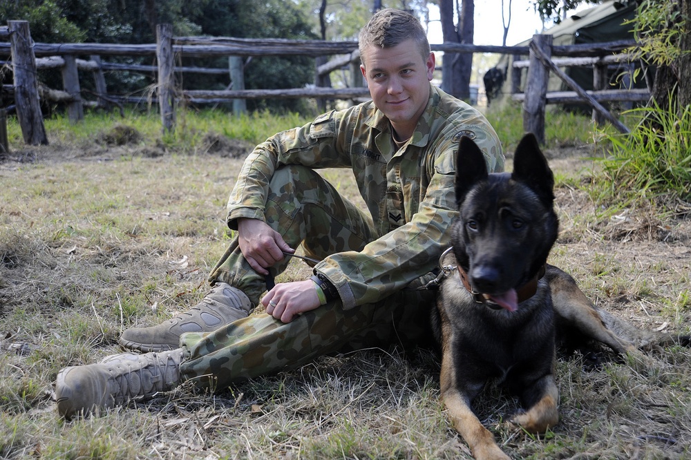 Australian Defence Force military working dog handlers prepare for Talisman Sabre 2011