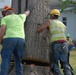 Trees destroyed by Joplin tornado get a second life