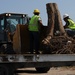 Trees destroyed by Joplin tornado get a second life