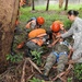 Medical engagement in Guatemala