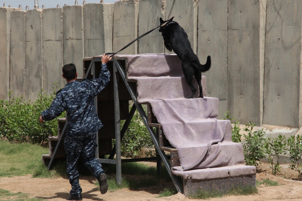 Canine police team trained for drug, explosive interdiction