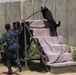 Canine police team trained for drug, explosive interdiction