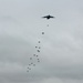 US soldiers parachute into Shoalwater Bay Training Area during Talisman Sabre 2011