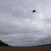 US soldiers parachute into Shoalwater Bay Training Area during Talisman Sabre 2011