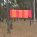 US soldiers parachute into Shoalwater Bay Training Area during Talisman Sabre 2011