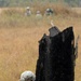 US soldiers parachute into Shoalwater Bay Training Area during Talisman Sabre 2011