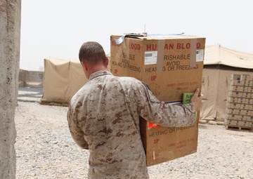 Saving blood, saving lives: 2nd MLG blood coordinator changes blood distribution