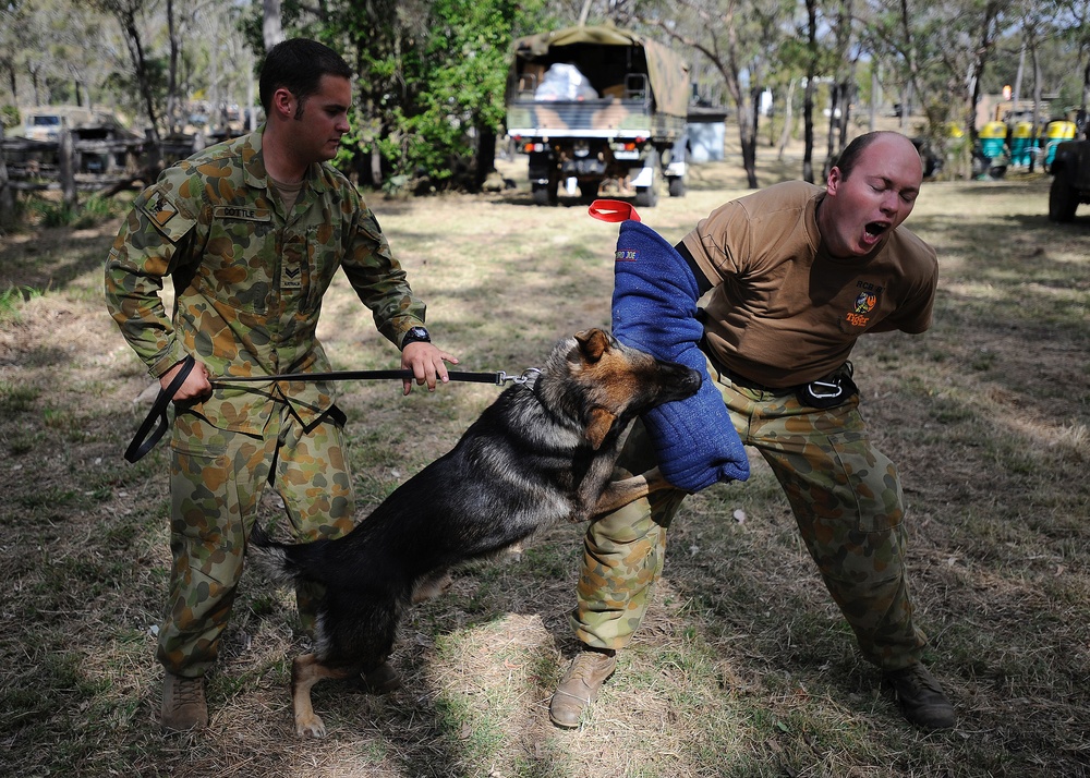 Australian Defence Force military working dog teams support Talisman Sabre 2011