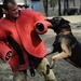 Australian military working dog teams train during Talisman Sabre 2011