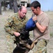 Australian military working dog teams train during Talisman Sabre 2011