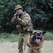 Australian military working dog teams train during Talisman Sabre 2011