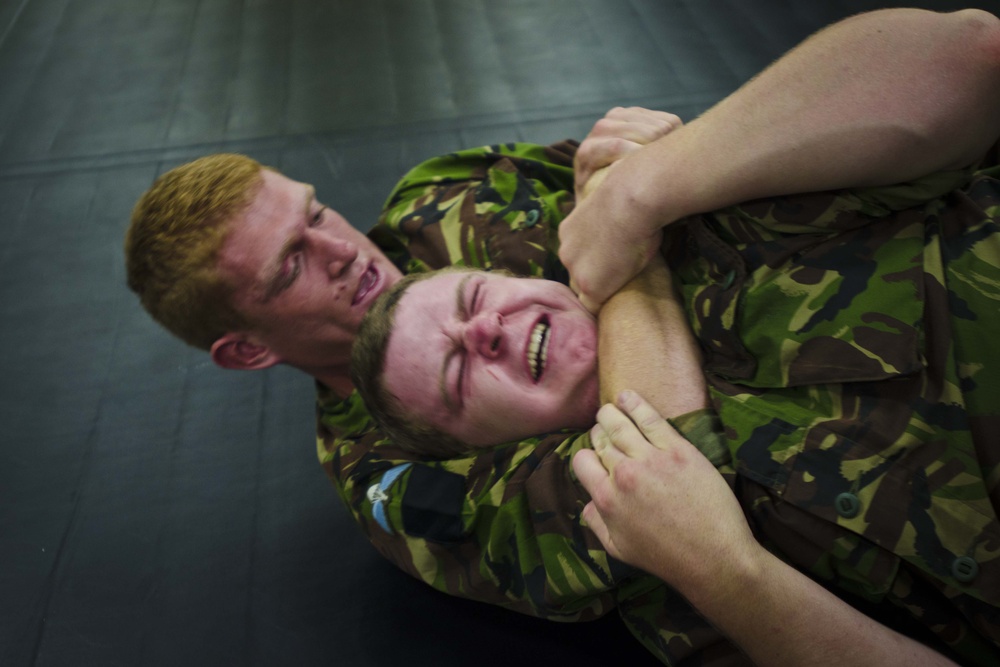 US trains British paratroopers in hand to hand combat