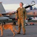 Australian military working dog teams provide security at RAAF Base Darwin during Talisman Sabre 2011
