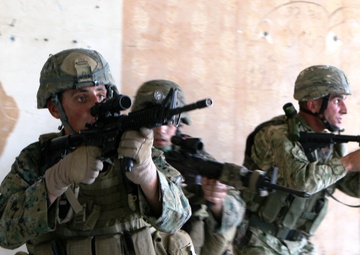 Side by side: Reserve Marines and Georgian soldiers train together