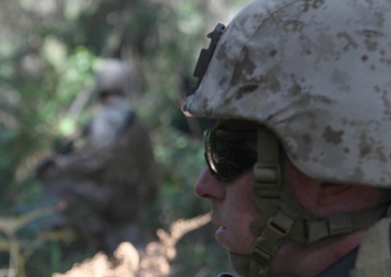 US Marines conduct mechanized assault during Talisman Sabre 2011
