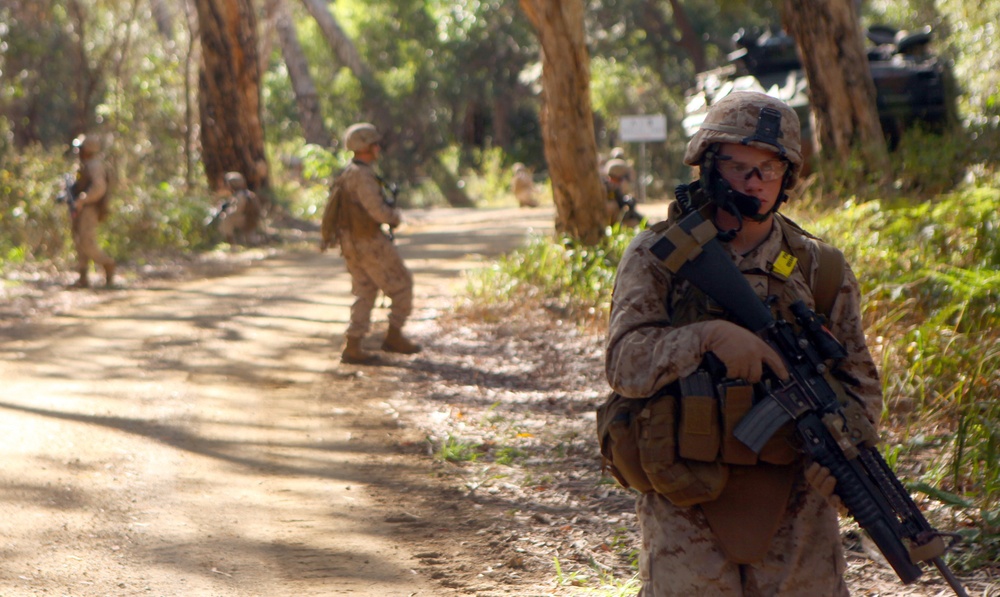 US Marines conduct mechanized assault during Talisman Sabre 2011