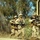 US Marines participate in scenario-based exercise during Talisman Sabre 2011